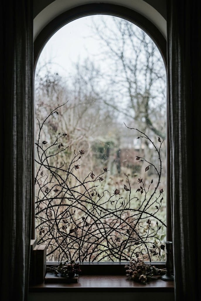 Gothic botanical thorn vines painted on window pane for aesthetic halloween window art.